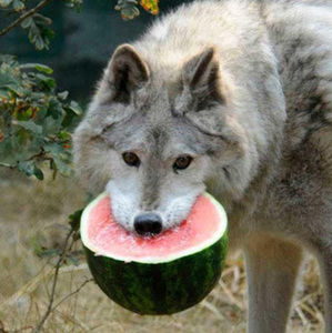 Meet your Posher, Isabel